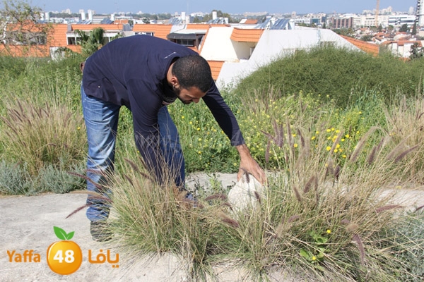 lagna omana2 sjeqw (21).JPG